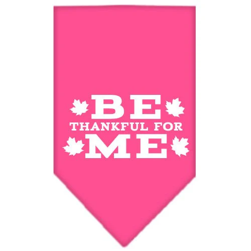 Thanksgiving Pet and Dog Bandana Screen Printed, "Be Thankful For Me" - Image 9