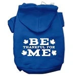 Thanksgiving Pet Dog & Cat Hoodie Screen Printed, "Be Thankful for Me" - Image 5
