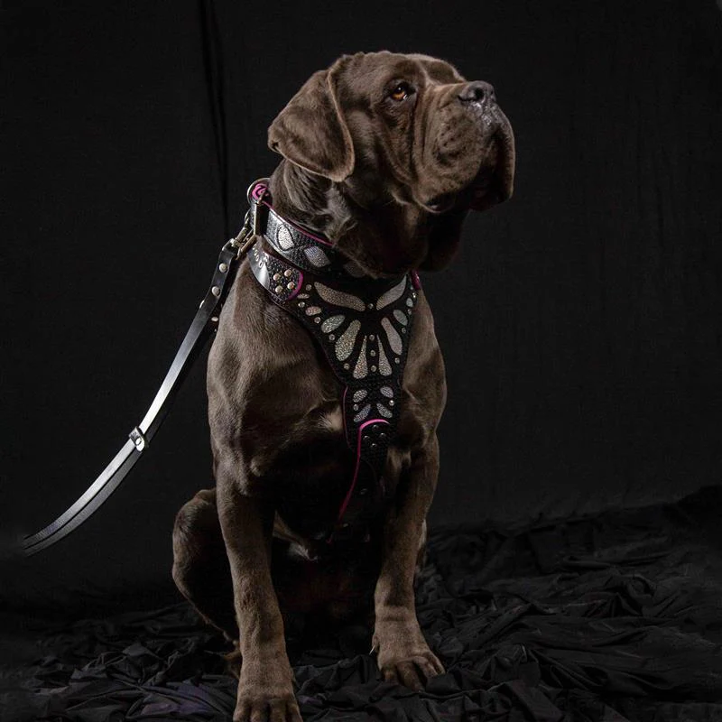 The "Ariel" collar - Image 4