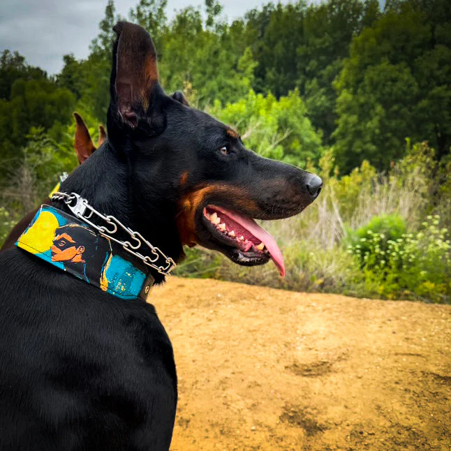 The BCW Limited Collar - Image 3