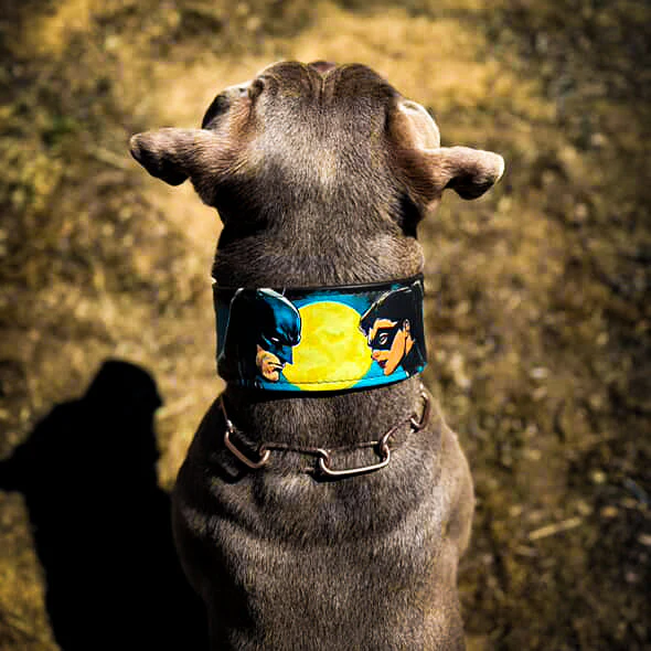 The BCW Limited Collar - Image 4