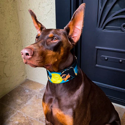 The BCW Limited Collar - Image 5