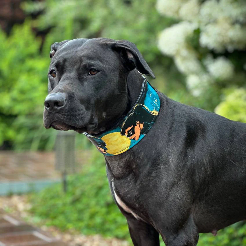 The BCW Limited Collar - Image 6
