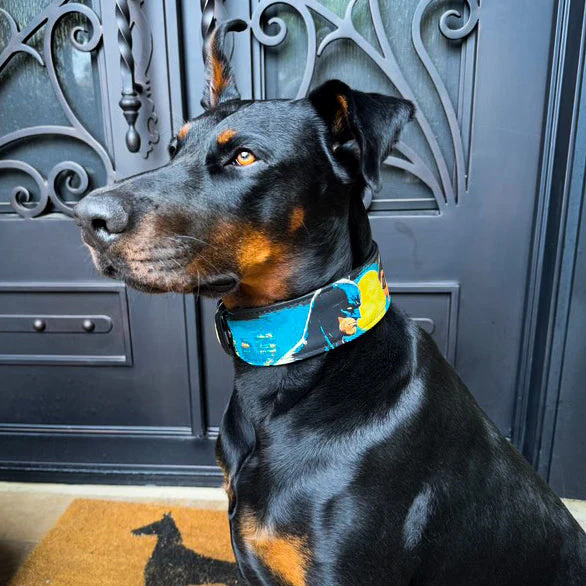 The BCW Limited Collar - Image 7