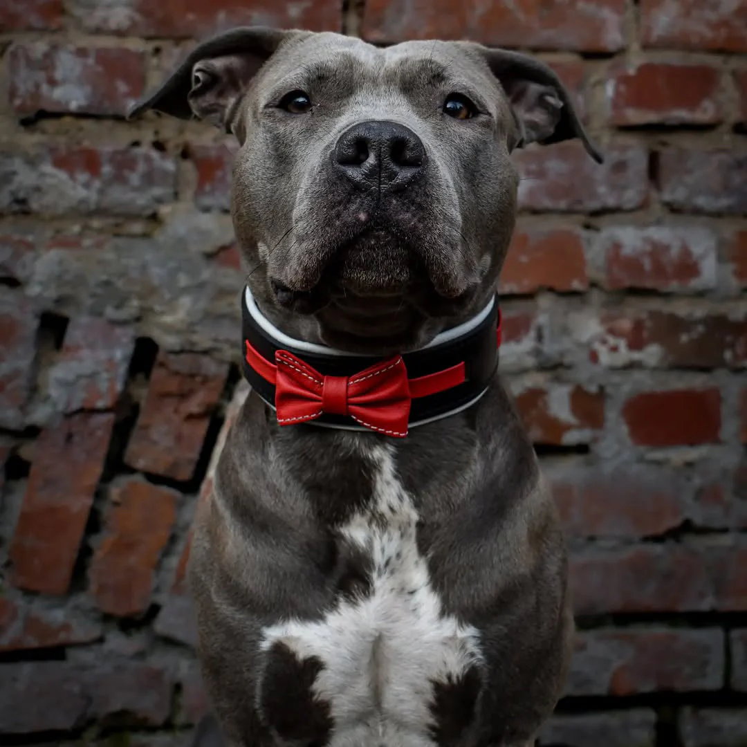 The "Bowtie" collar black - Image 2