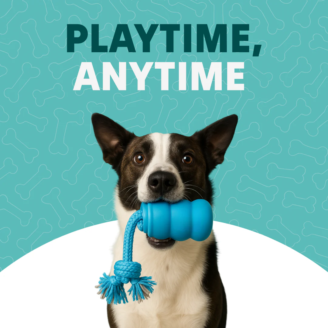 The Chase Buddy Dog Boredom Stimulating Toy - Image 2