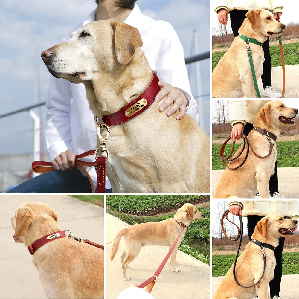The Classic Leather Lead - Premium Dog Leash - Image 12