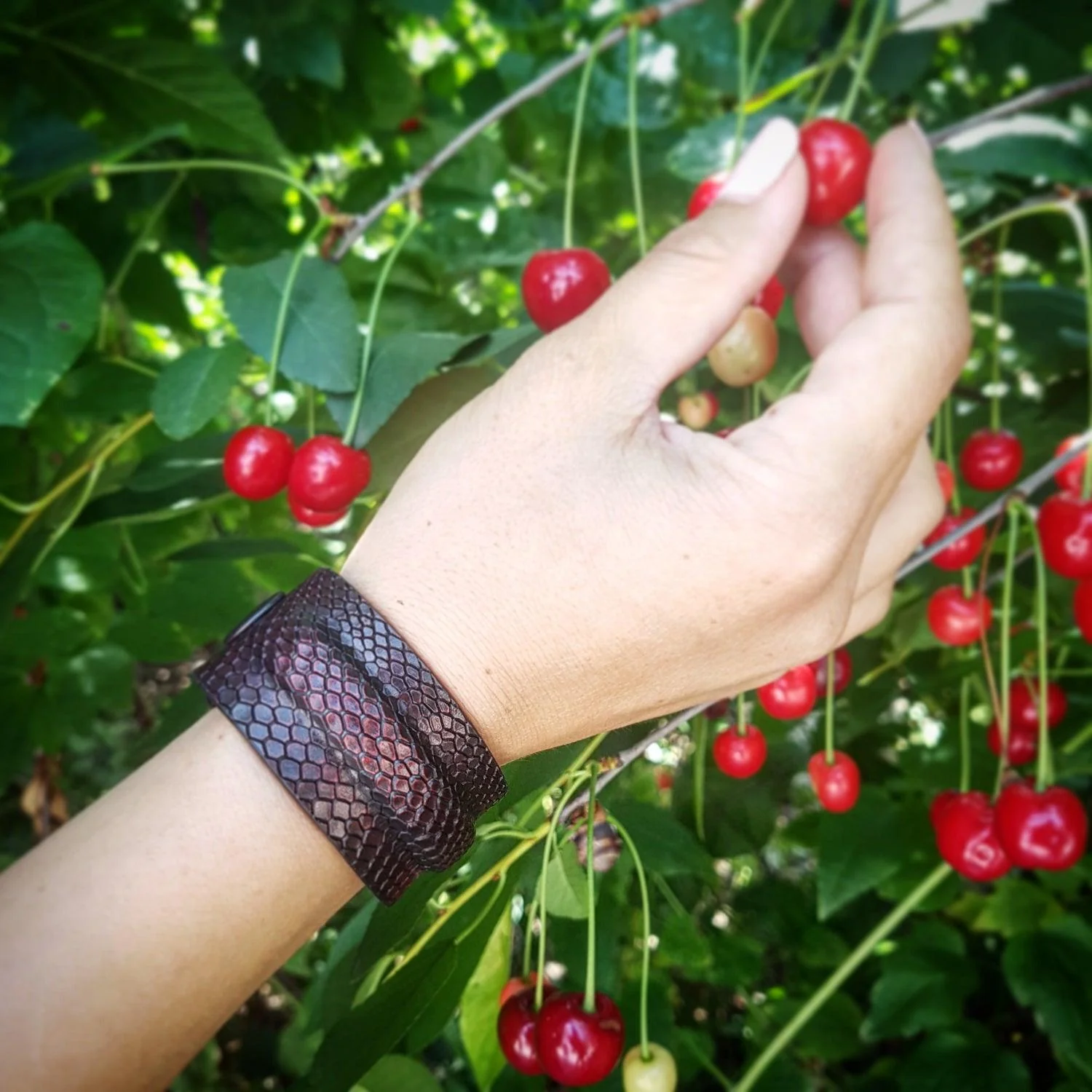 The ''Cobra'' bracelet - Image 2