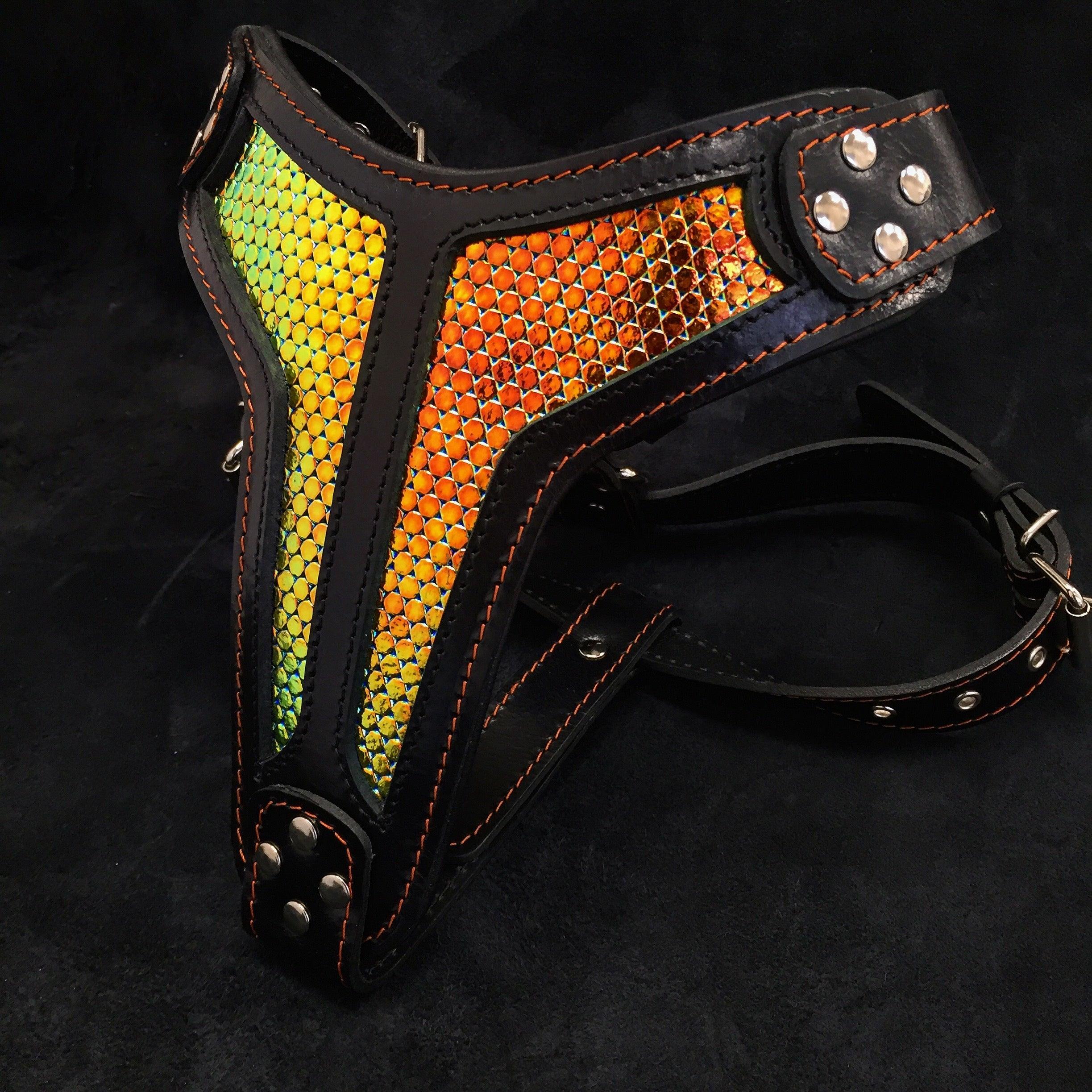 The ''D`Albertis'' harness LIMITED - Image 2