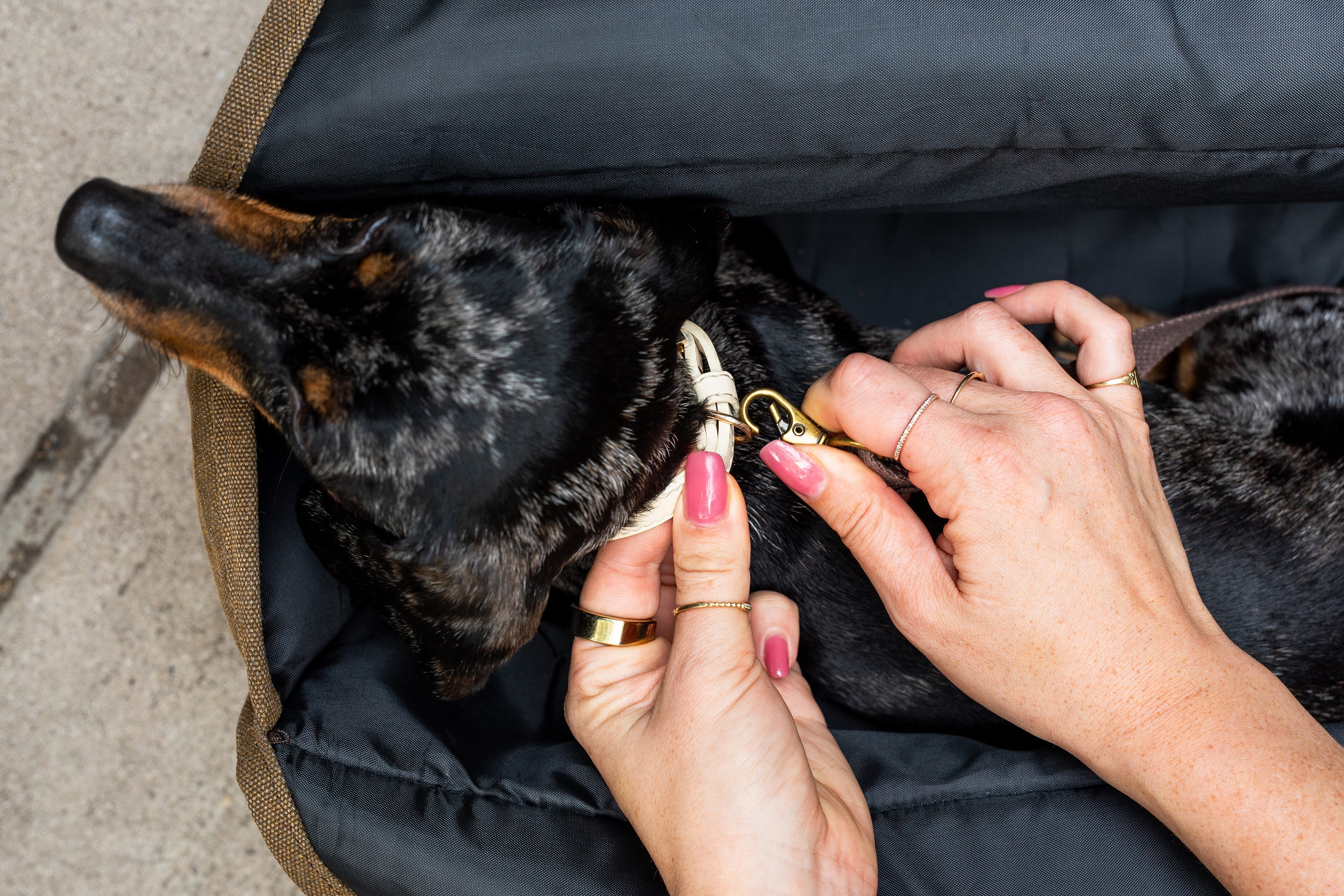 The Daily Carrier—Packable Luxury for Life on the Go - Image 6