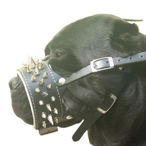 The "Danger" muzzle - Image 3