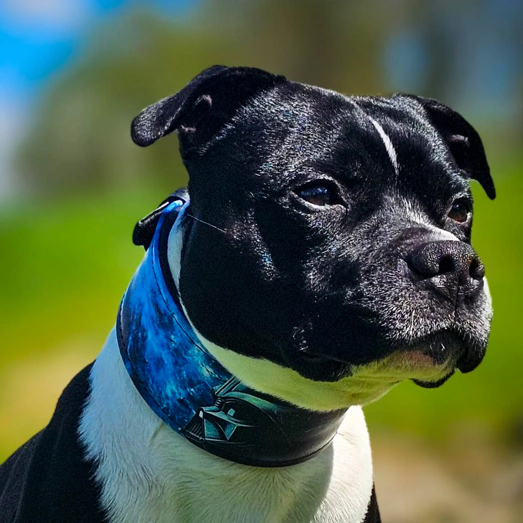 The Darth Force Limited Collar - Image 5