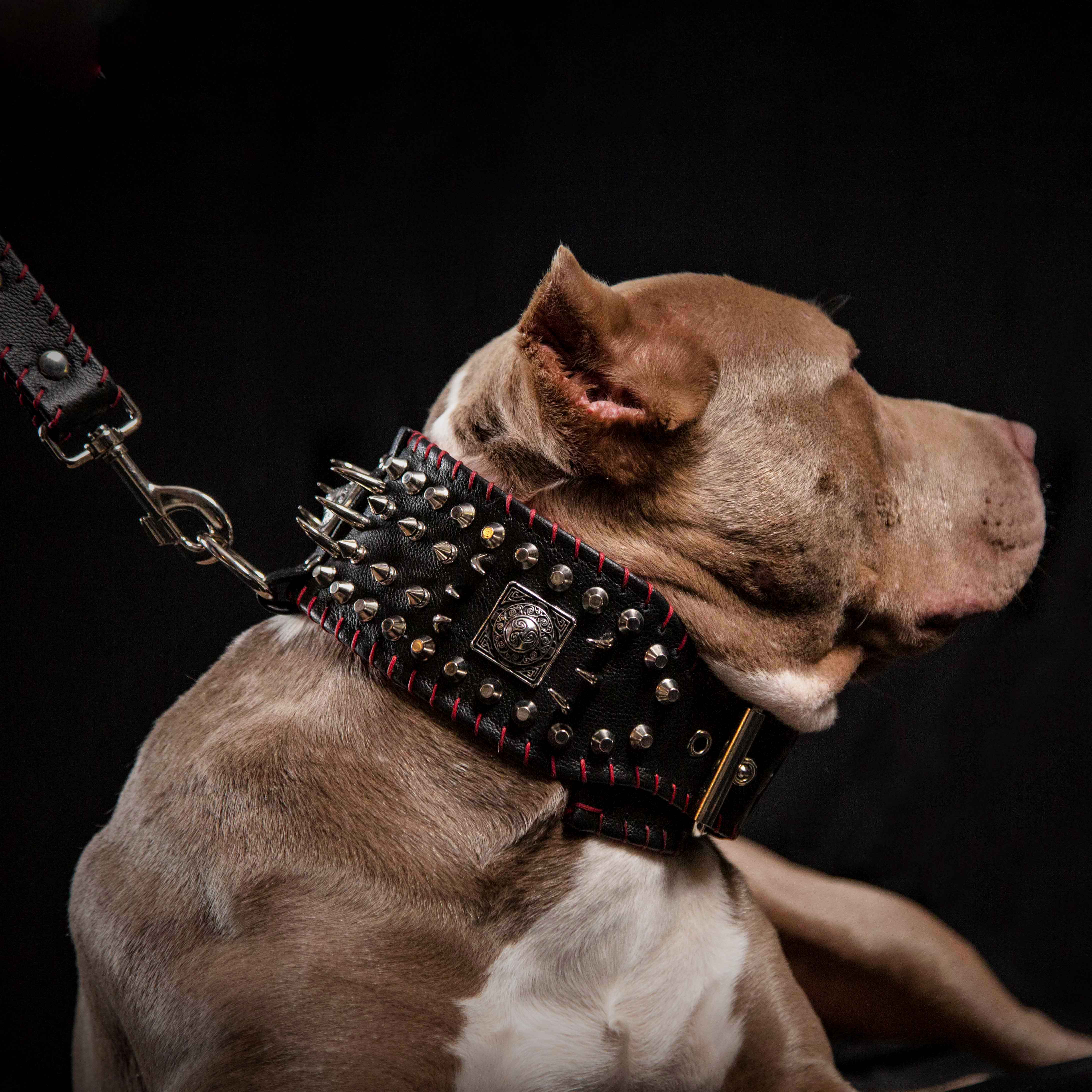 the "DAVID" hand stitched 3.15 inch wide show collar - Image 2