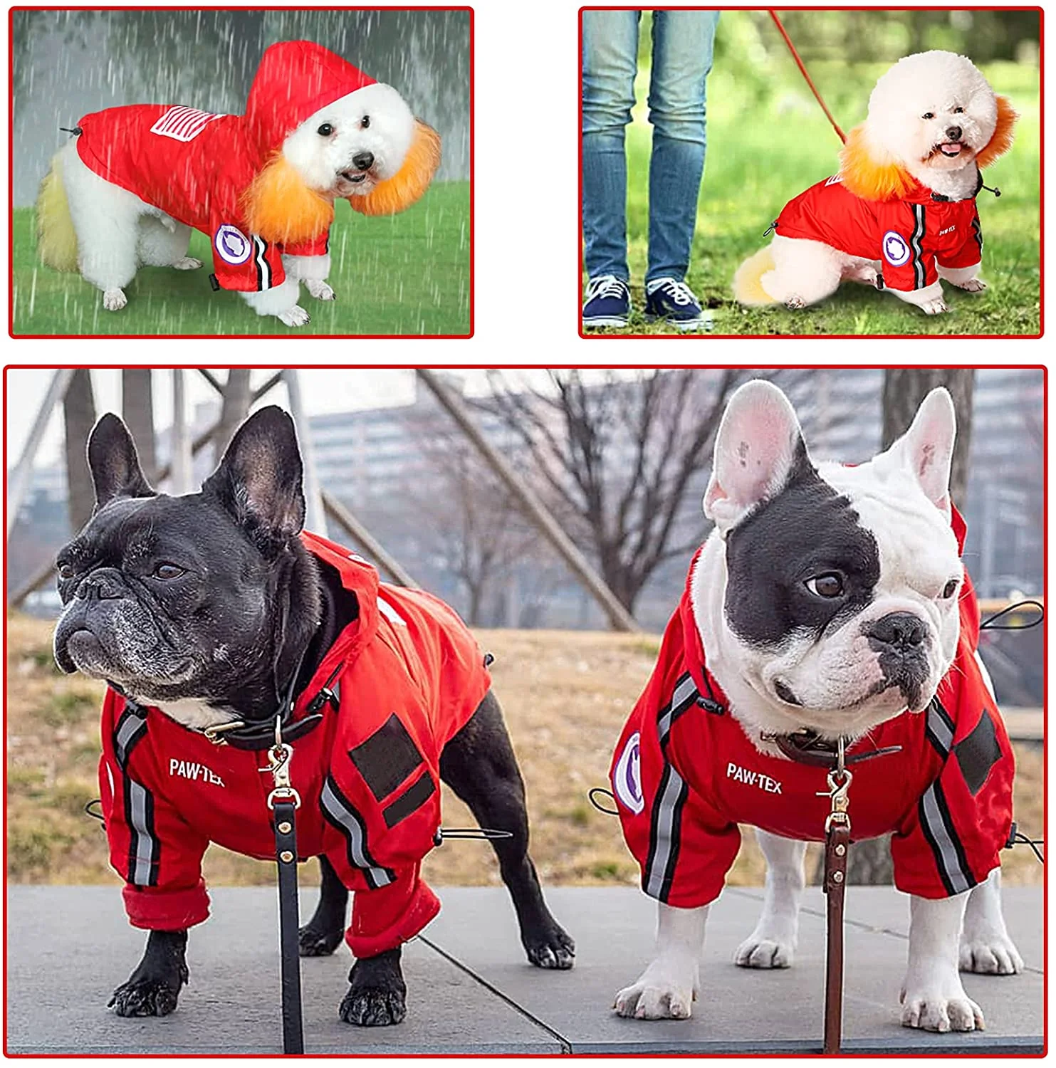 The Dog Face Pet Raincoat - Image 11