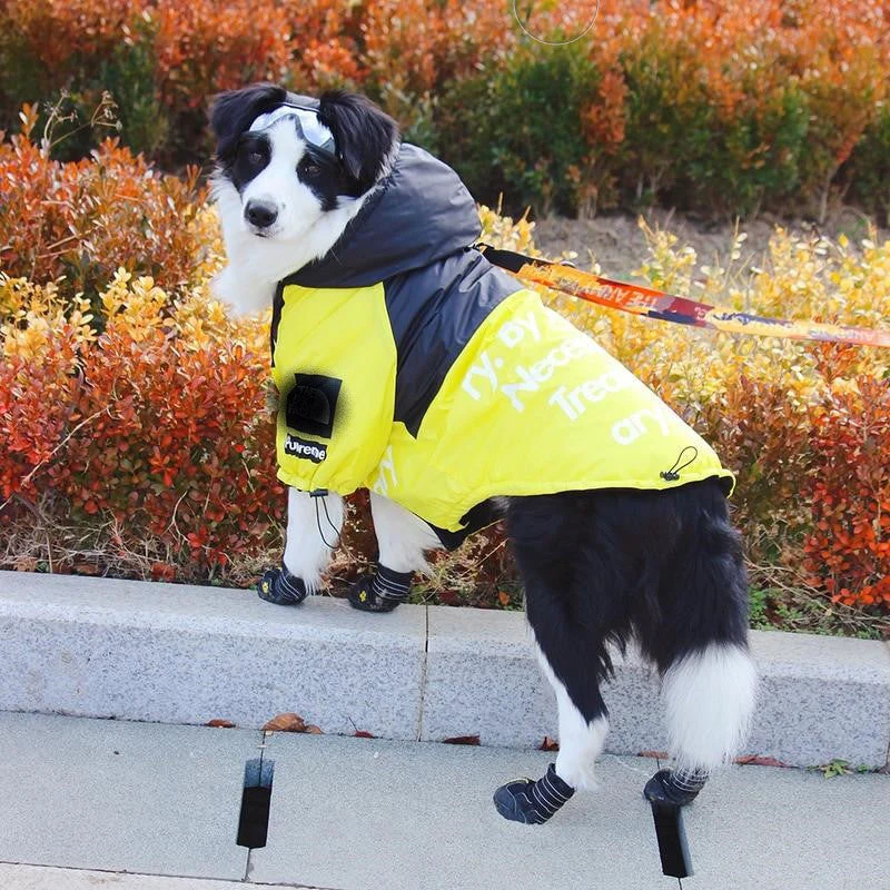 The Dog Face Windproof Waterproof Reflective Pet Cat Dog Jacket - Image 12