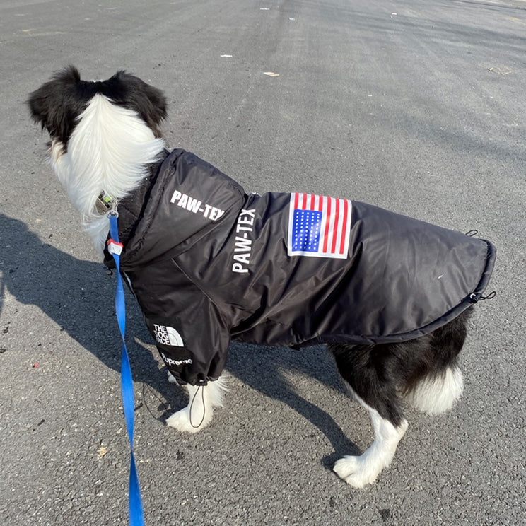 The Dog Face Windproof Waterproof Reflective Pet Cat Dog Jacket - Image 16