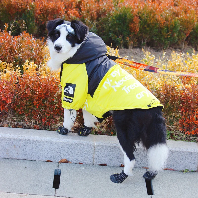 The Dog Face Windproof Waterproof Reflective Pet Cat Dog Jacket - Image 18