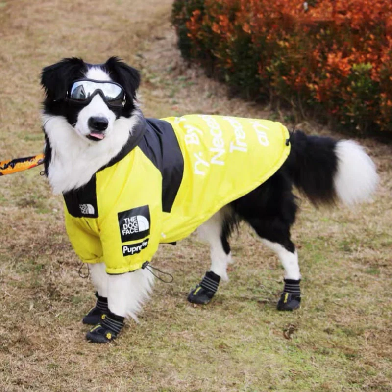 The Dog Face Windproof Waterproof Reflective Pet Cat Dog Jacket - Image 19