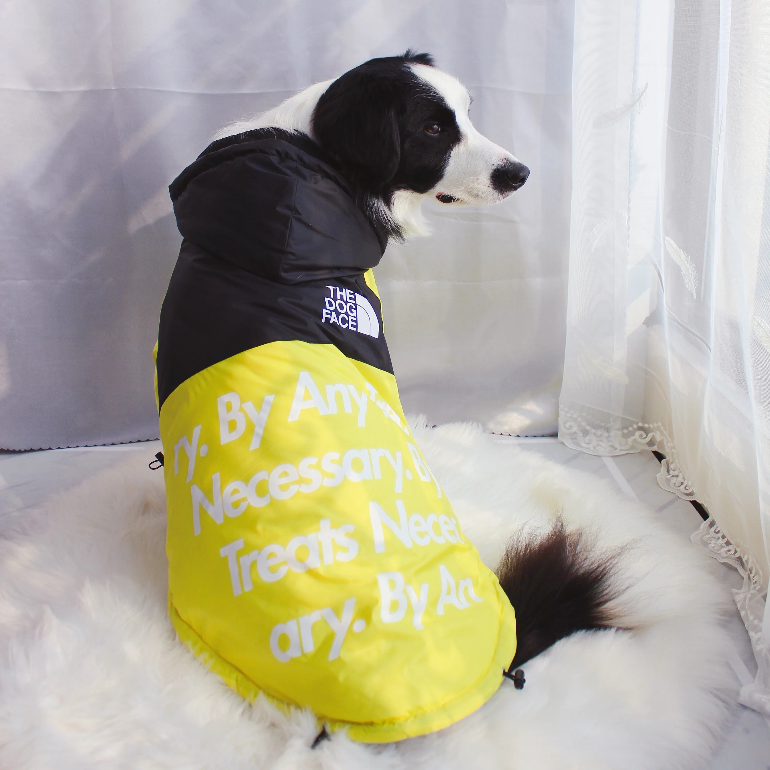 The Dog Face Windproof Waterproof Reflective Pet Cat Dog Jacket - Image 28
