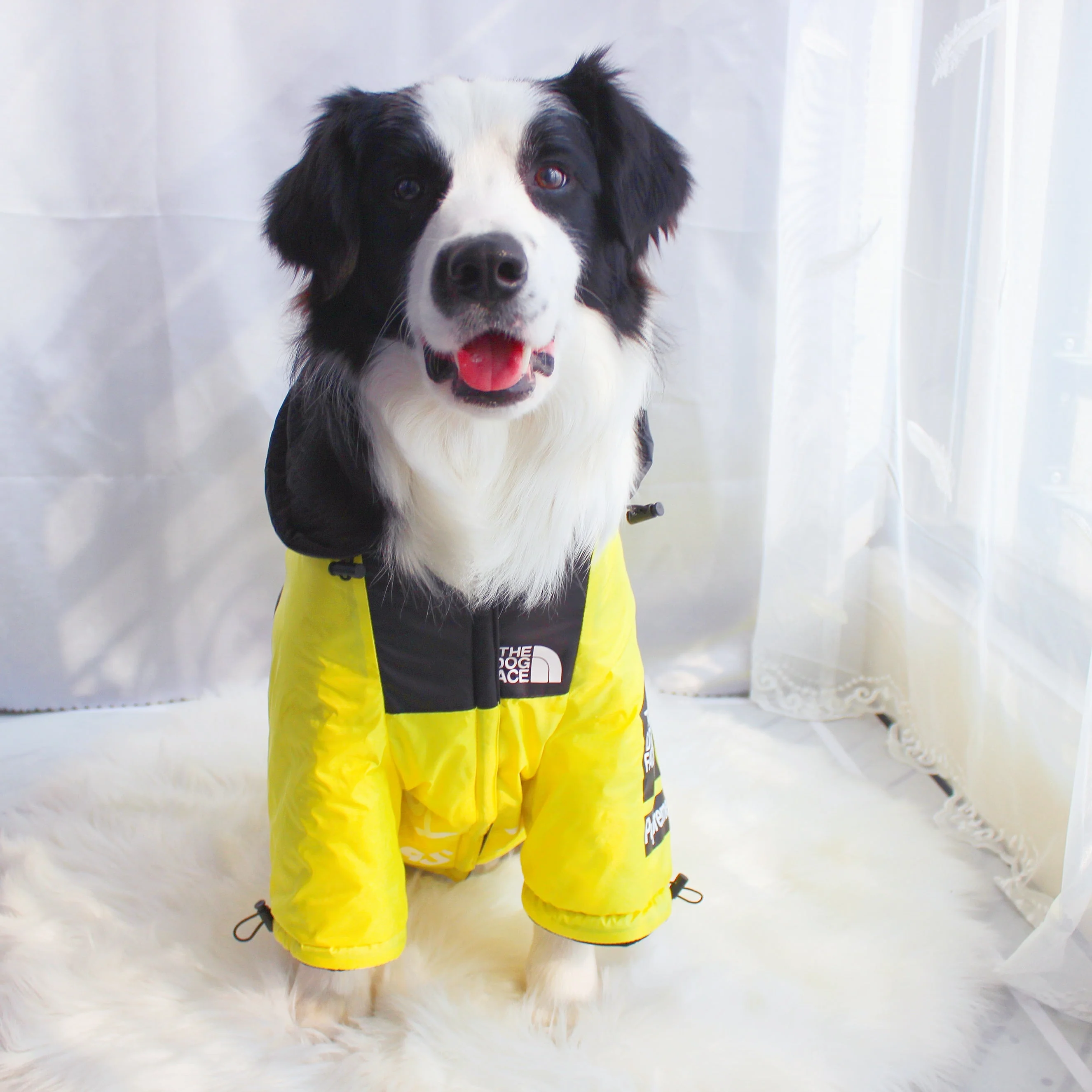 The Dog Face Windproof Waterproof Reflective Pet Cat Dog Jacket - Image 29