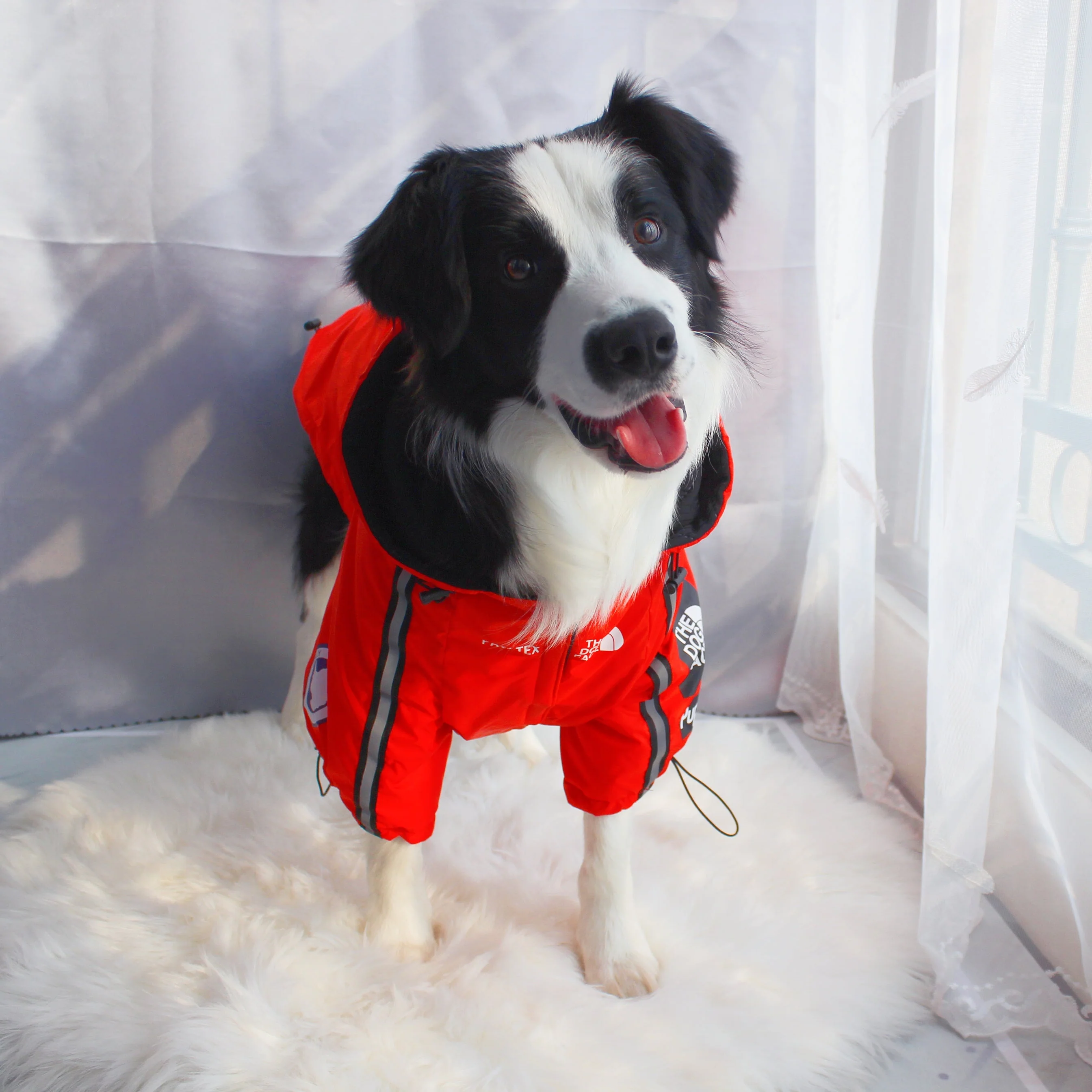 The Dog Face Windproof Waterproof Reflective Pet Cat Dog Jacket - Image 30