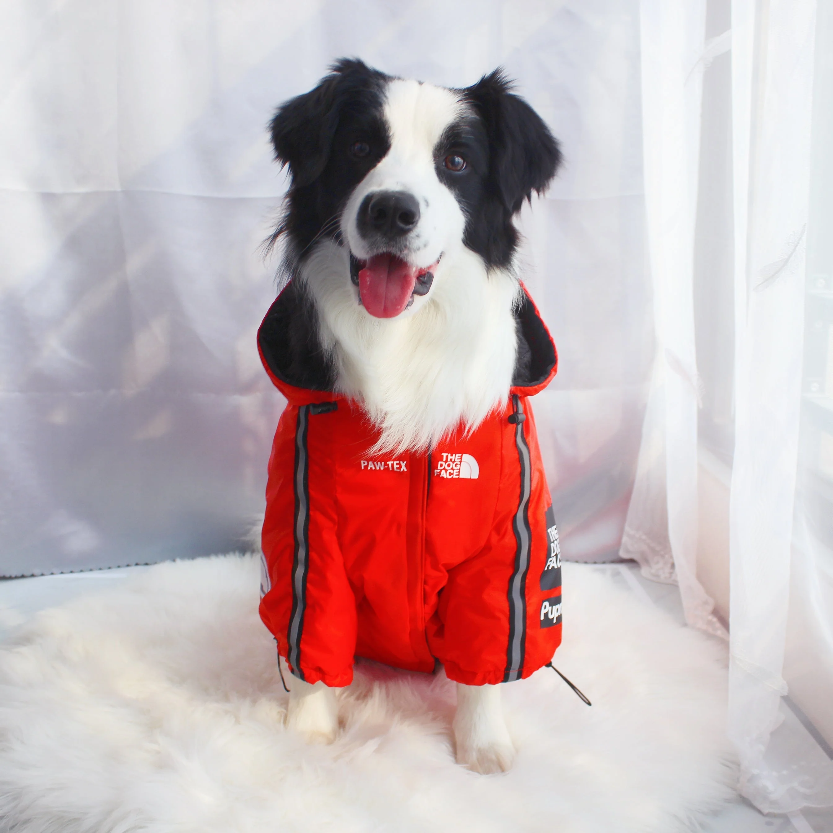 The Dog Face Windproof Waterproof Reflective Pet Cat Dog Jacket - Image 31