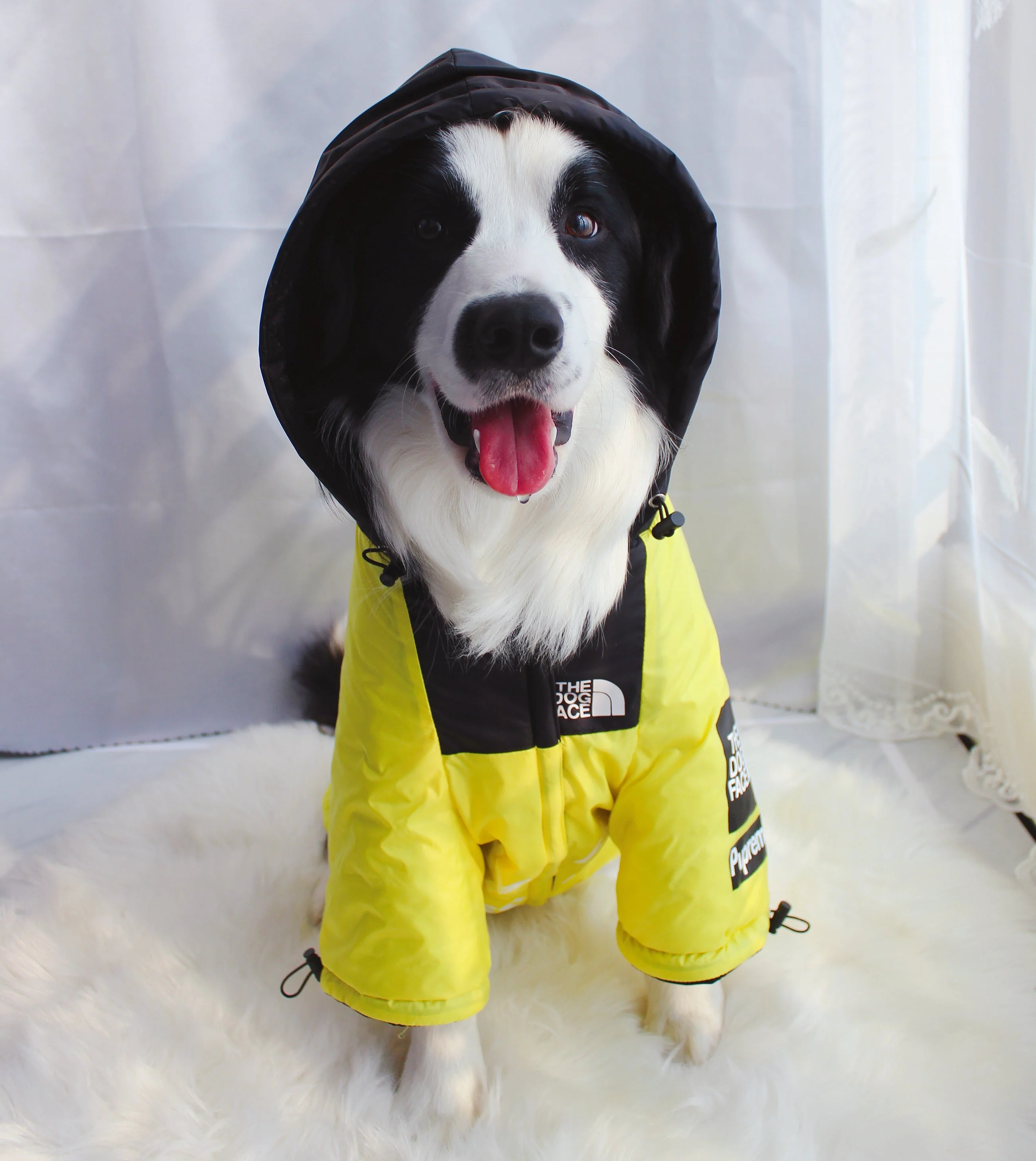 The Dog Face Windproof Waterproof Reflective Pet Cat Dog Jacket - Image 32