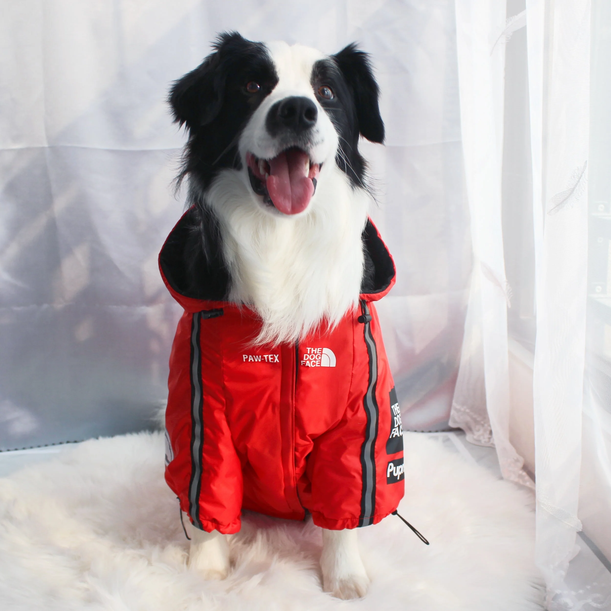 The Dog Face Windproof Waterproof Reflective Pet Cat Dog Jacket - Image 33