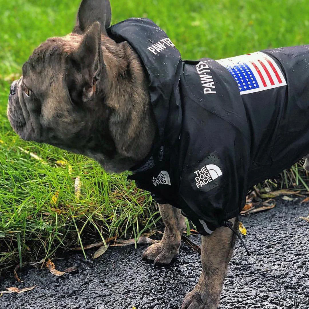 The Dog Face Windproof Waterproof Reflective Pet Cat Dog Jacket - Image 34