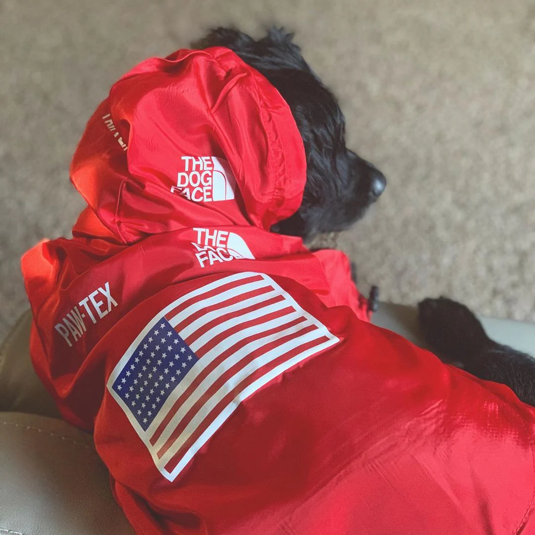 The Dog Face Windproof Waterproof Reflective Pet Cat Dog Jacket - Image 36