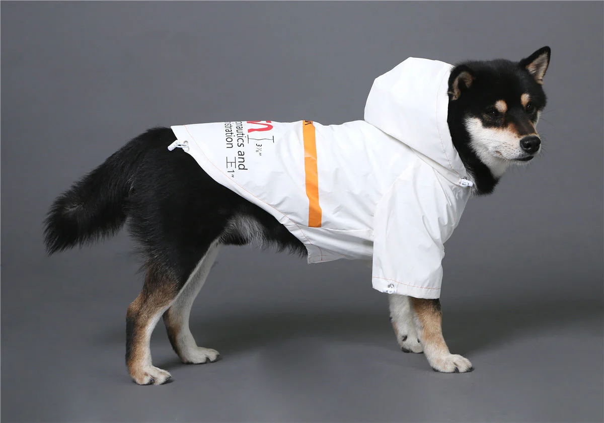 The Dog Face Windproof Waterproof Reflective Pet Cat Dog Jacket - Image 46
