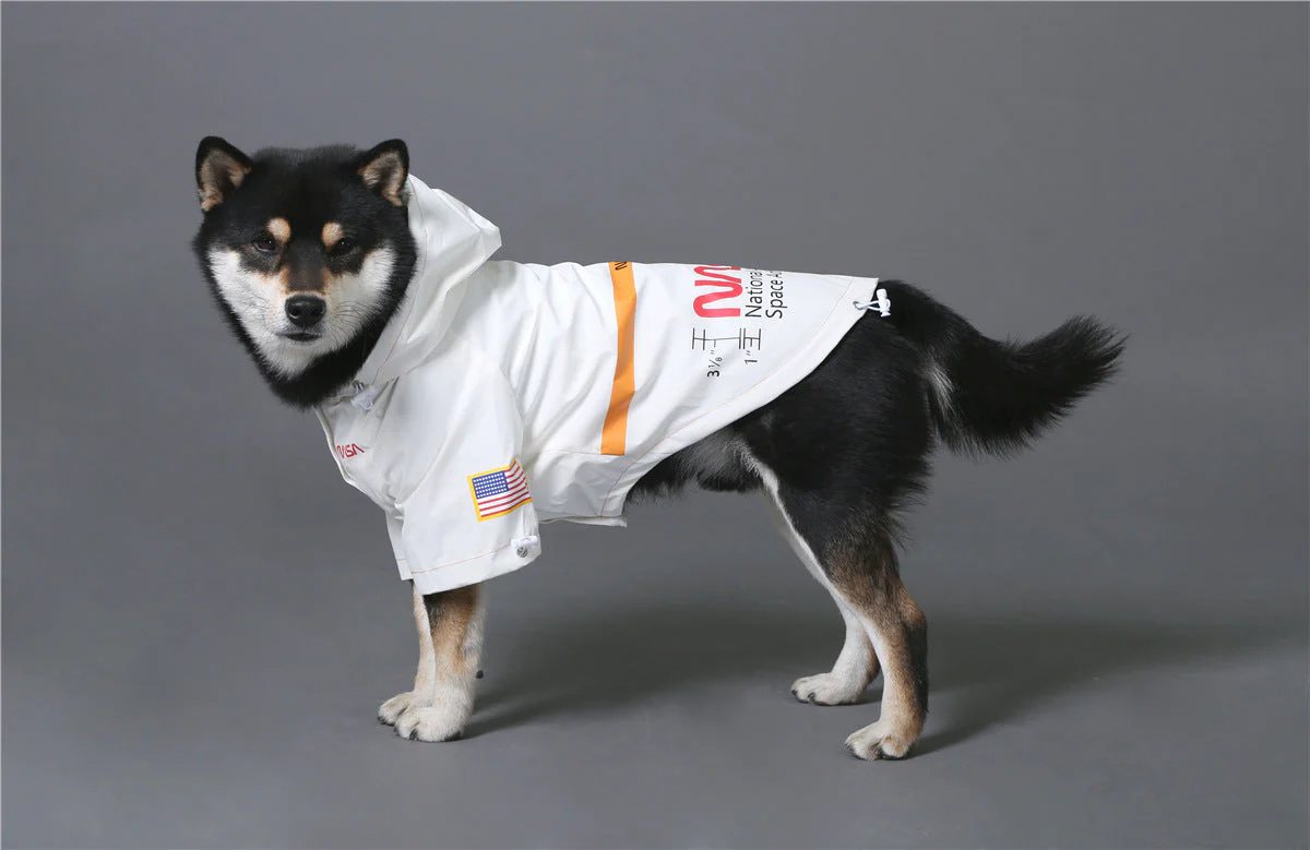The Dog Face Windproof Waterproof Reflective Pet Cat Dog Jacket - Image 47