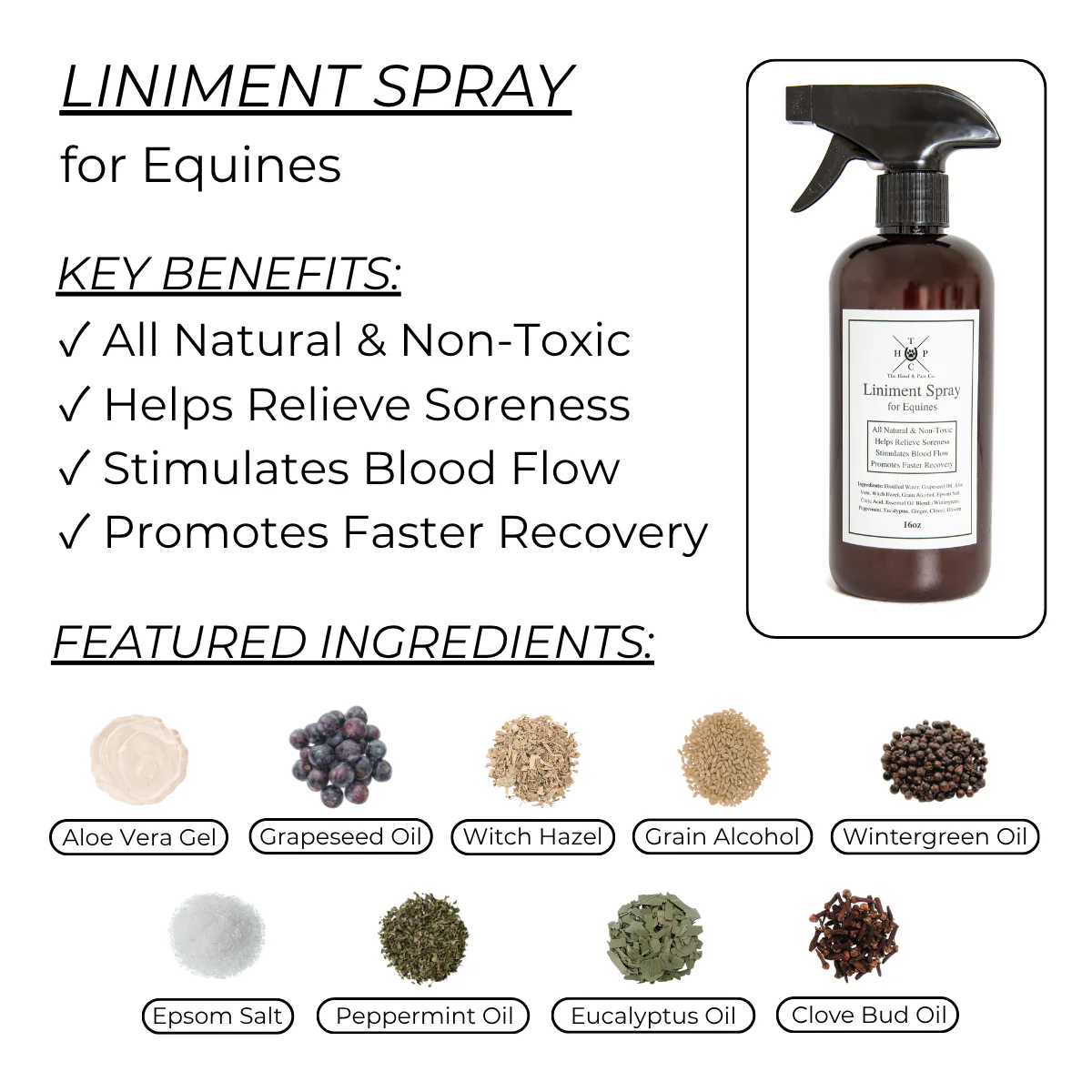 The Equine Performance Pack - Image 3