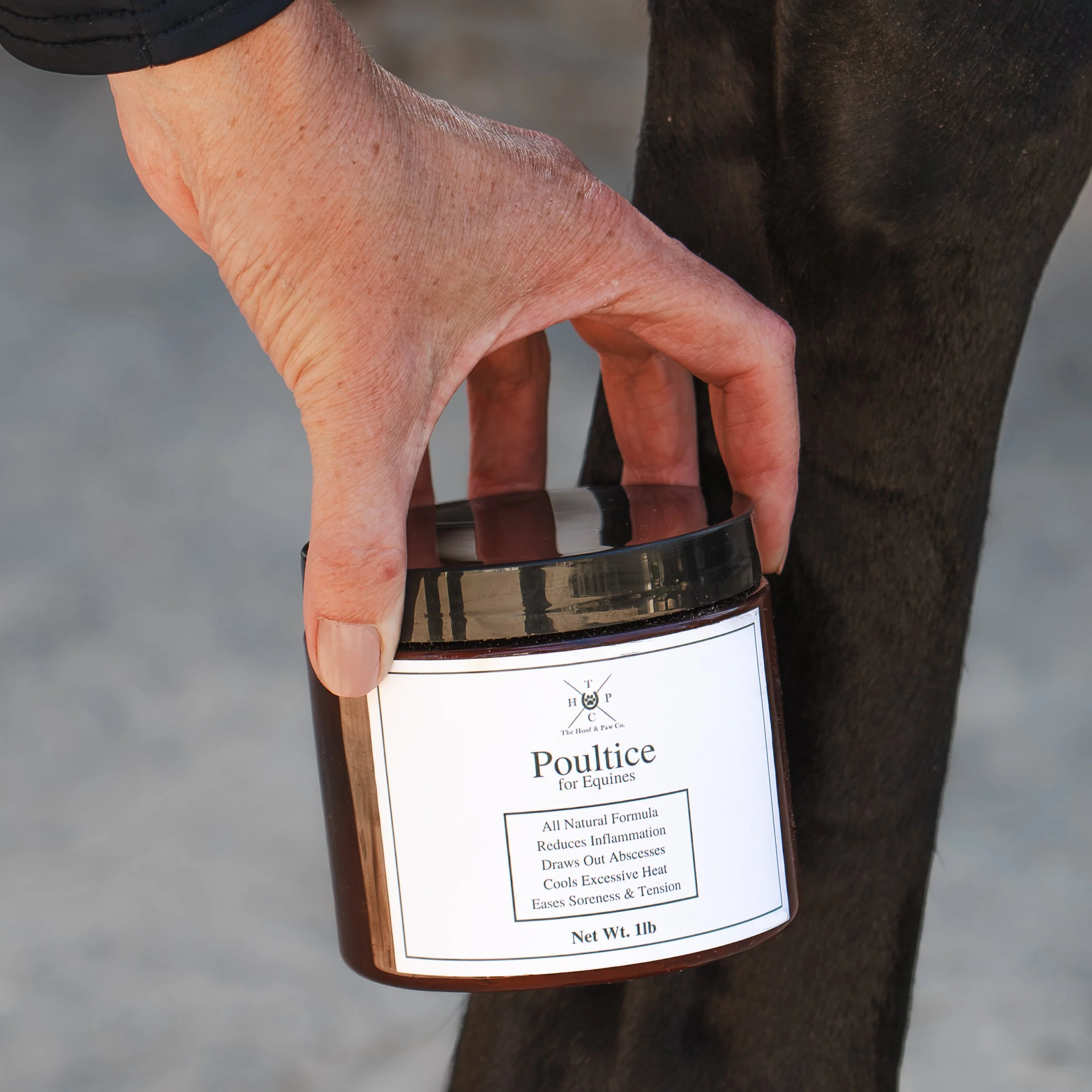 The Equine Performance Pack - Image 4