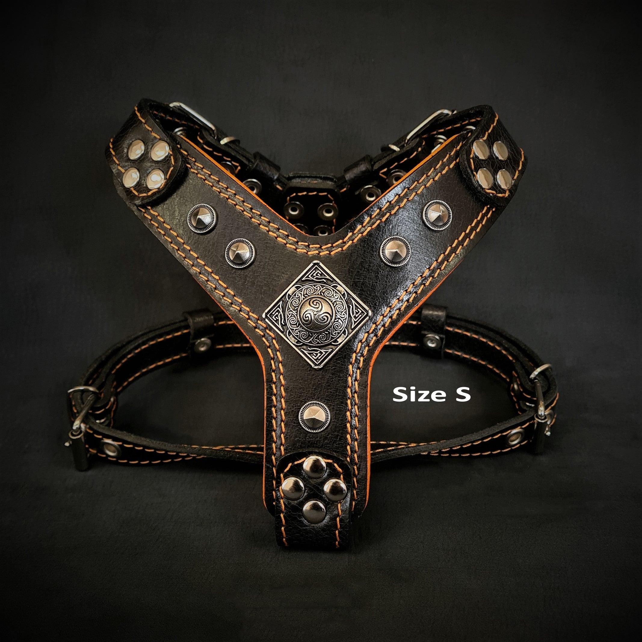 The ''Eros'' harness Black & Orange Small to Medium Size - Image 2