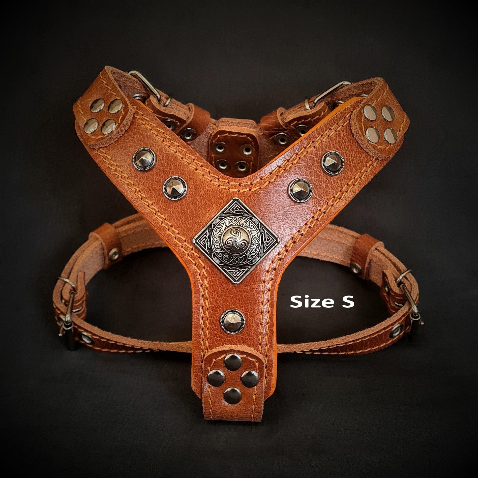 The ''Eros'' harness brown Small to Medium Size - Image 2
