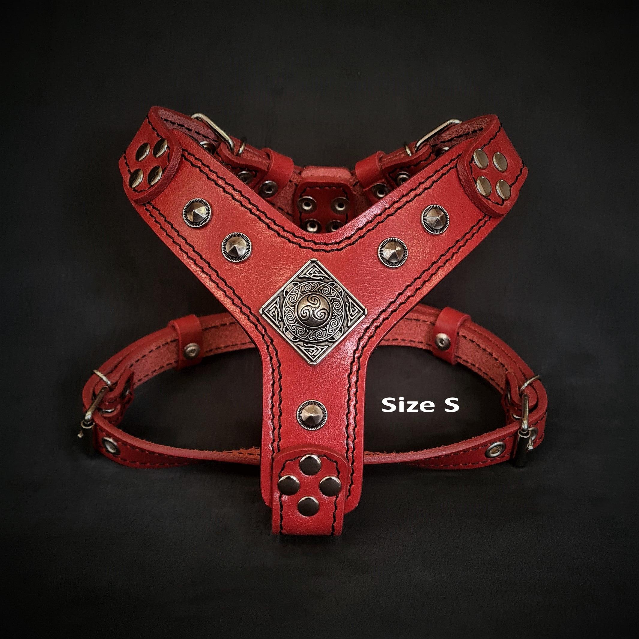 The ''Eros'' harness red Small to Medium Size - Image 2