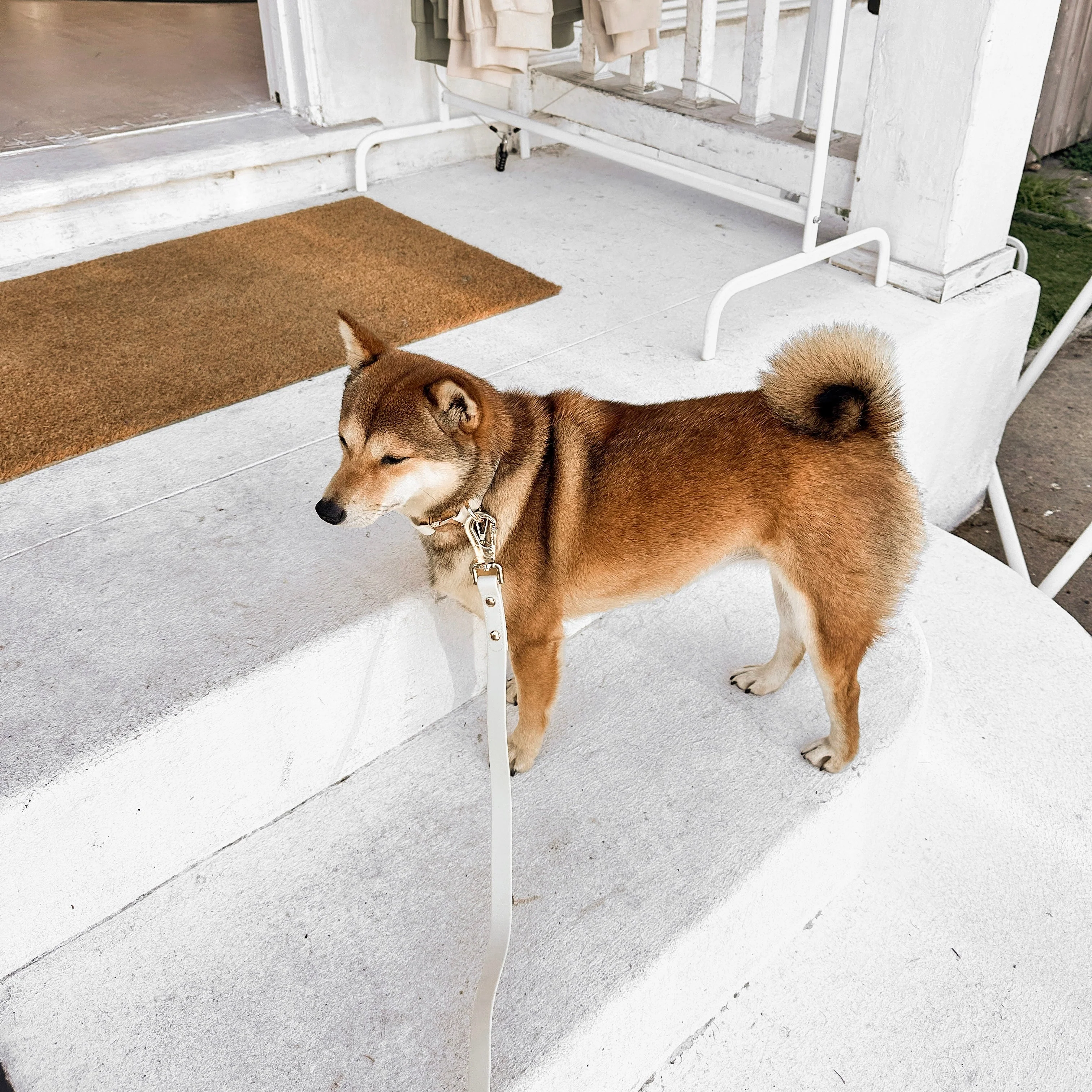 The Essentials Walk Set - Bone - Image 9