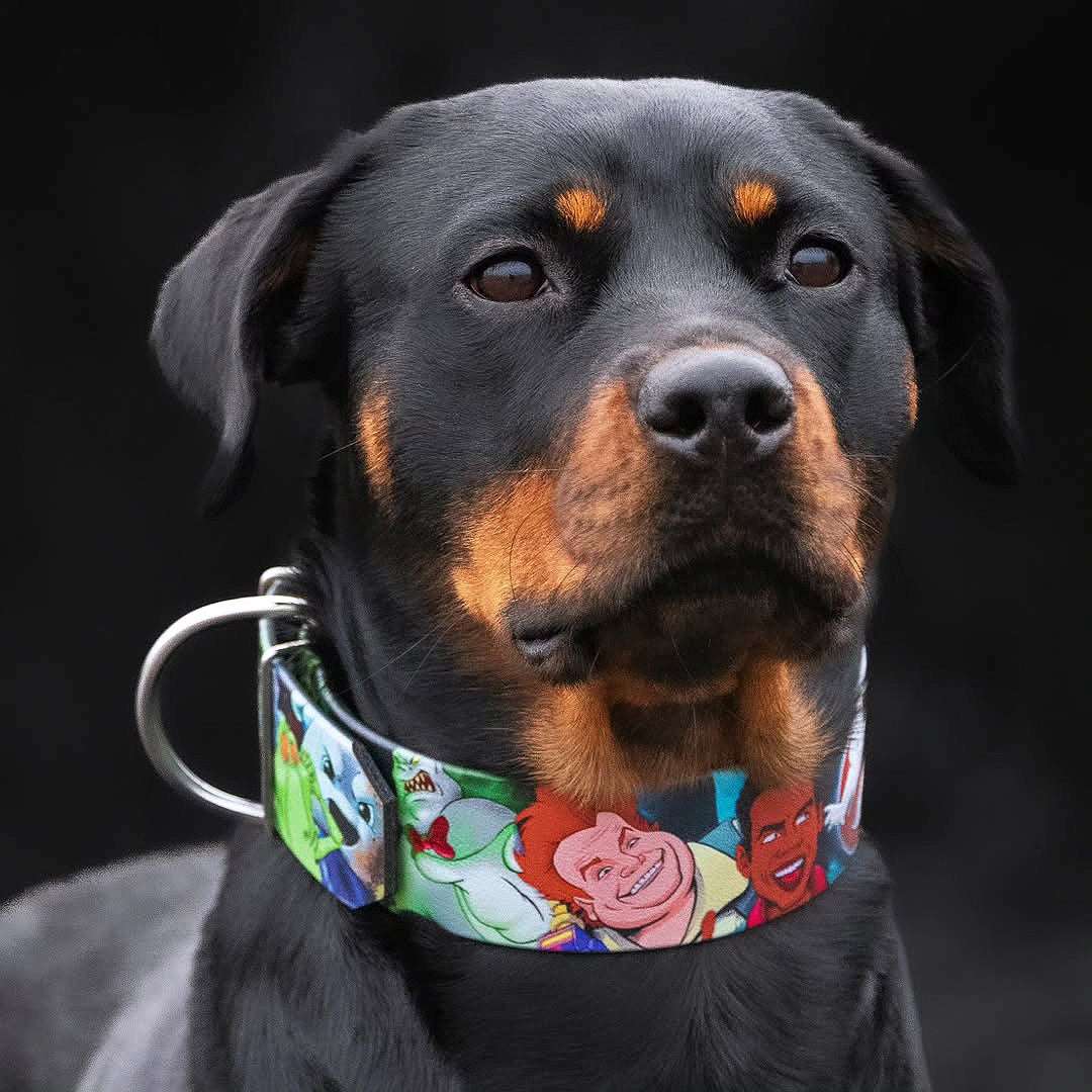 The “Ghostbuster” collar -LIMITED - Image 5