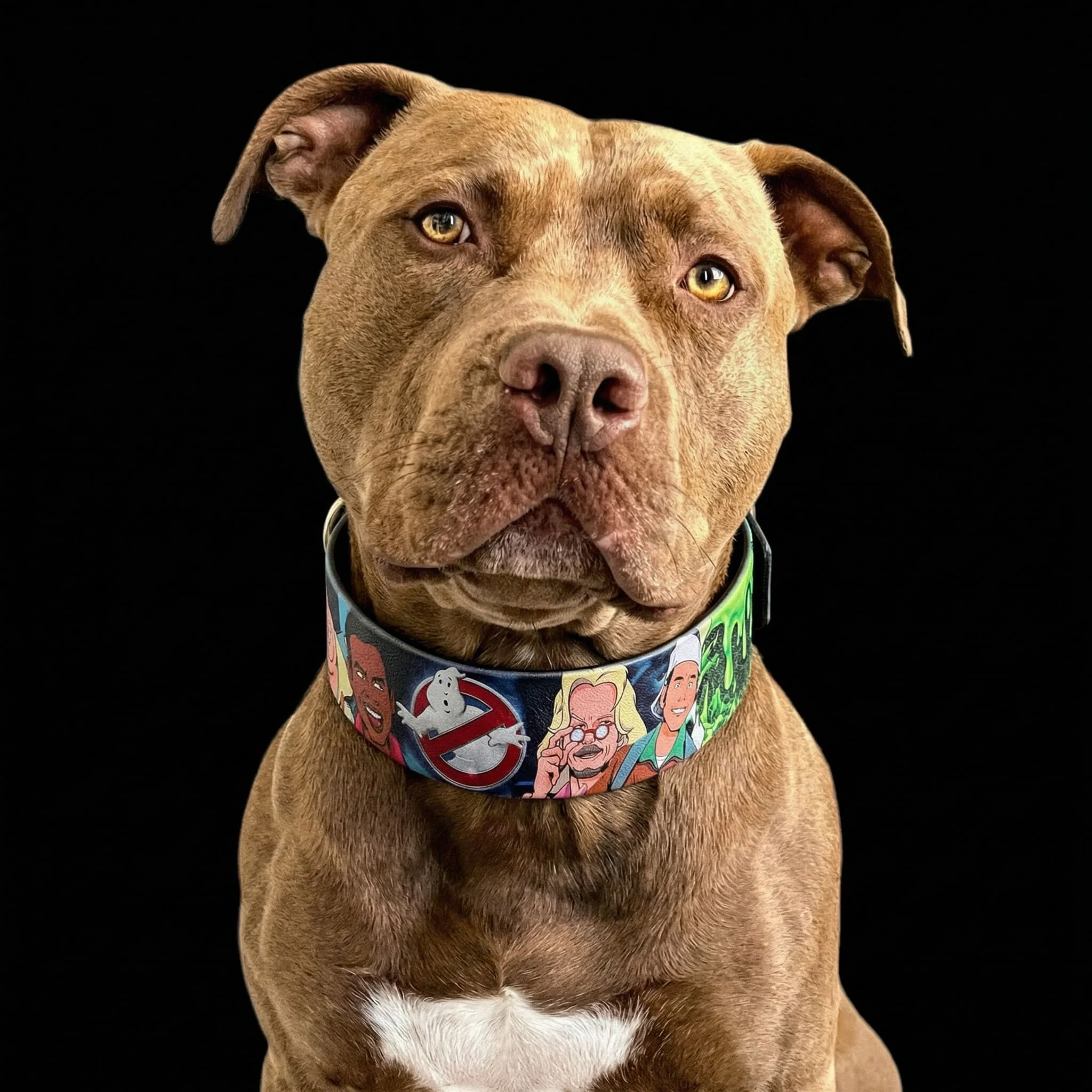 The “Ghostbuster” collar -LIMITED - Image 6