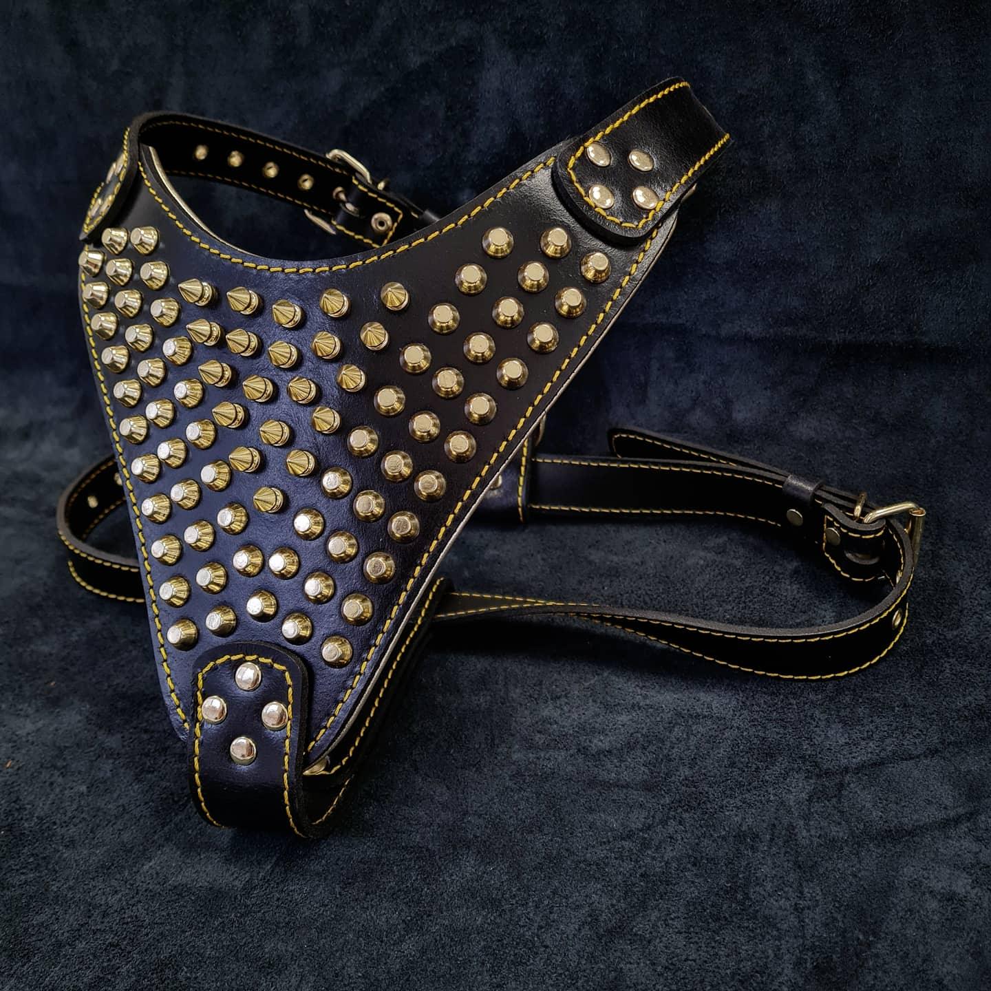 The "Gladiator" harness Gold/Silver - Image 2