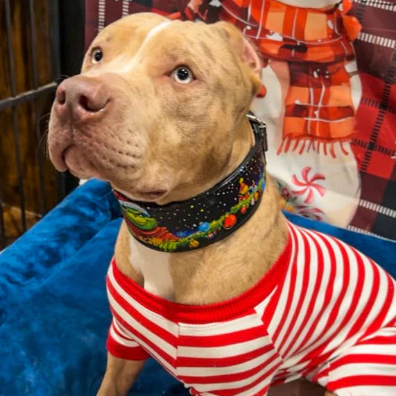 The Grinchmas Limited Collar - Image 4