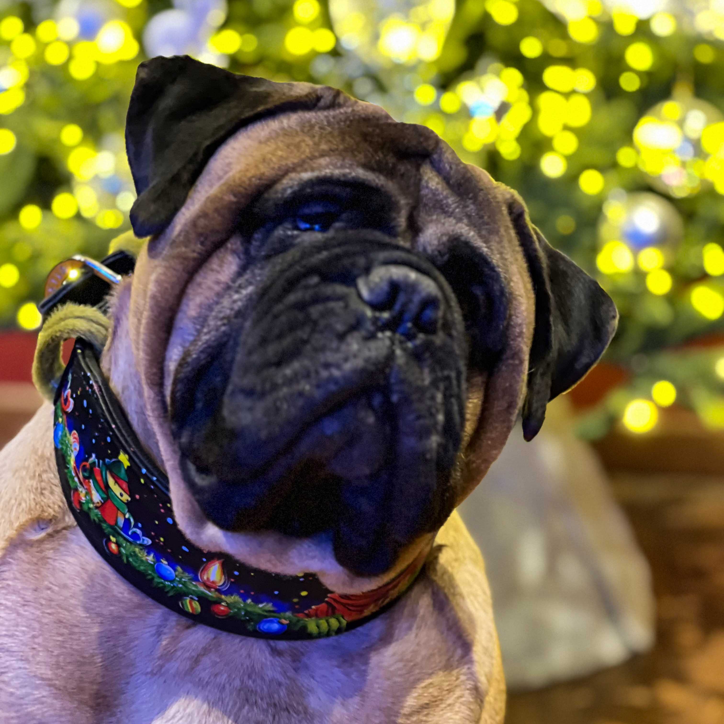 The Grinchmas Limited Collar - Image 6