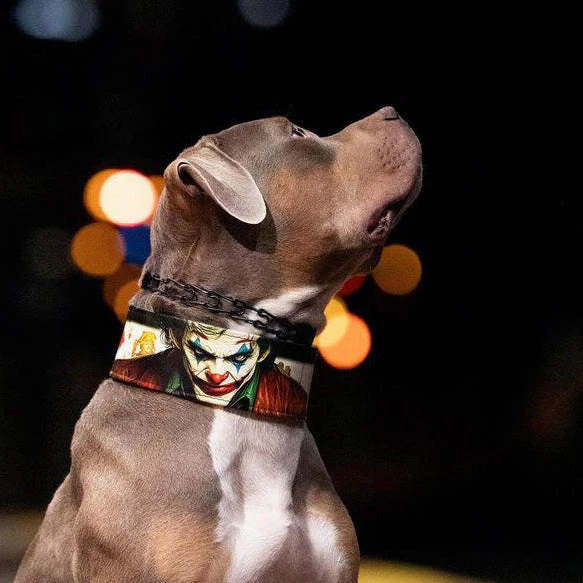 The Joker Limited Collar - Image 3