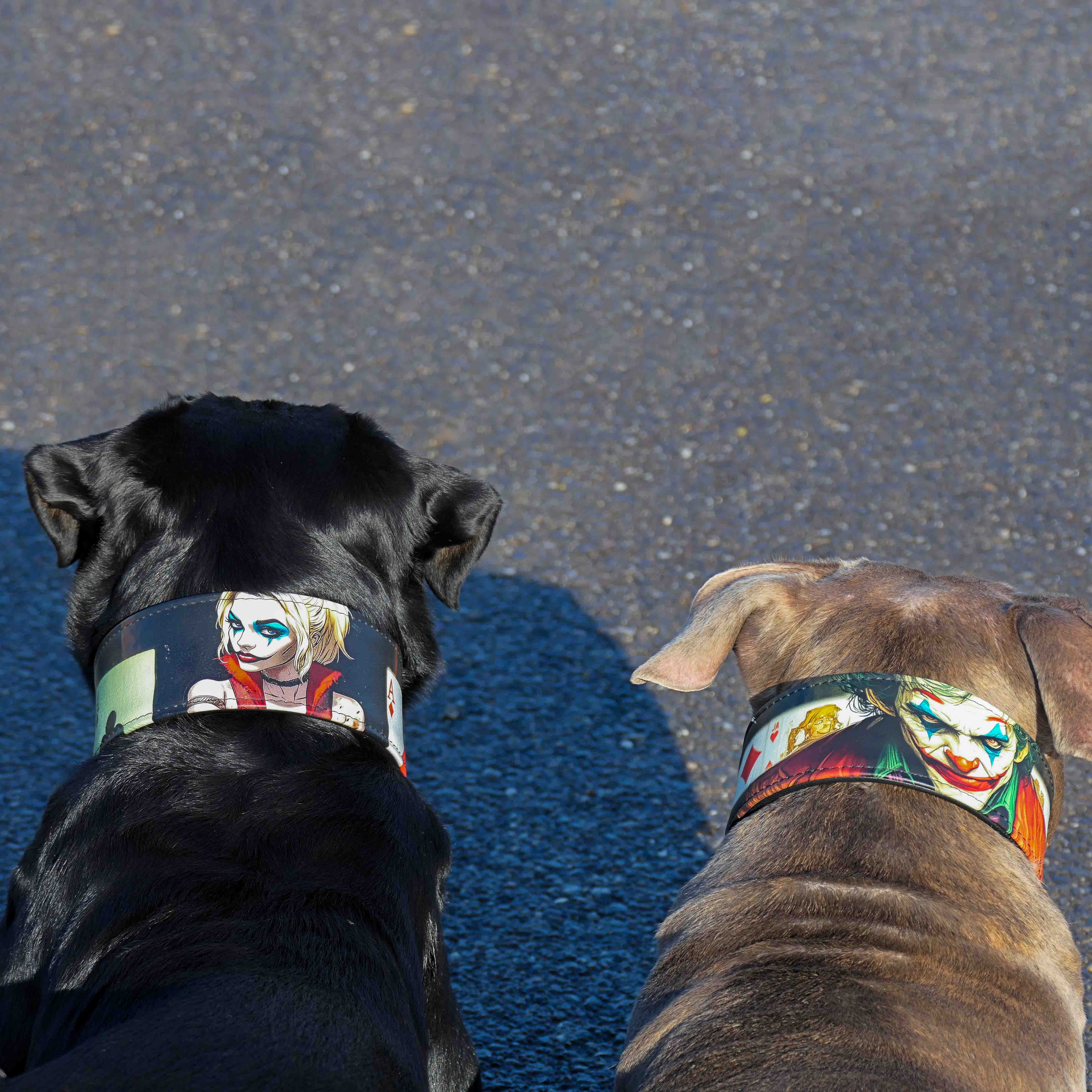 The Joker Limited Collar - Image 6
