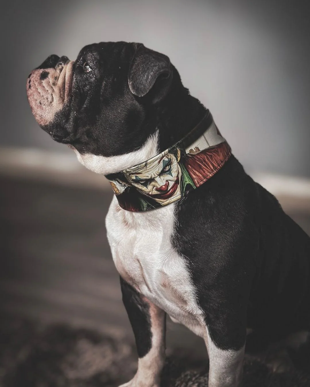 The Joker Limited Collar - Image 8