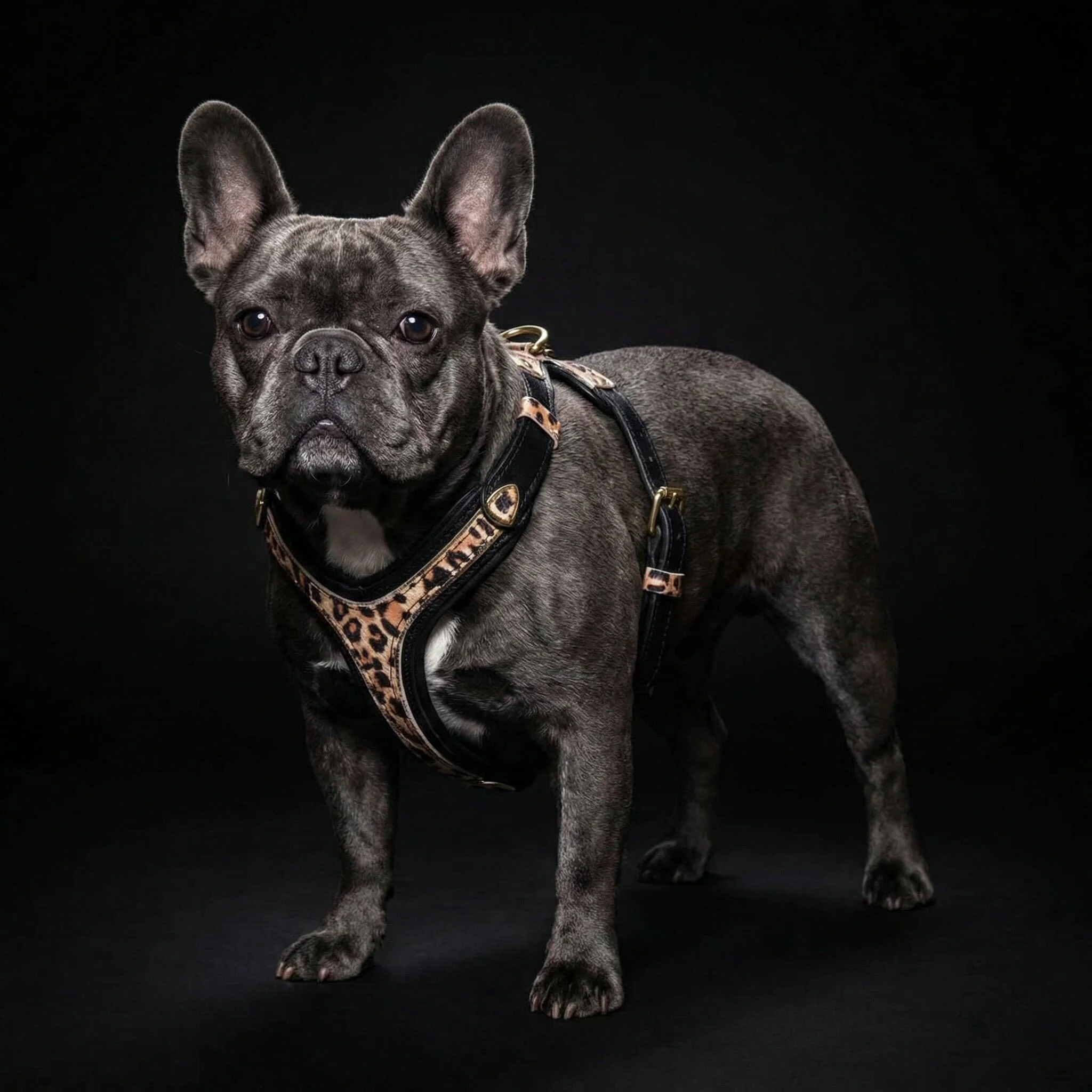 The Leopard Harness Small to Medium Size - Image 4