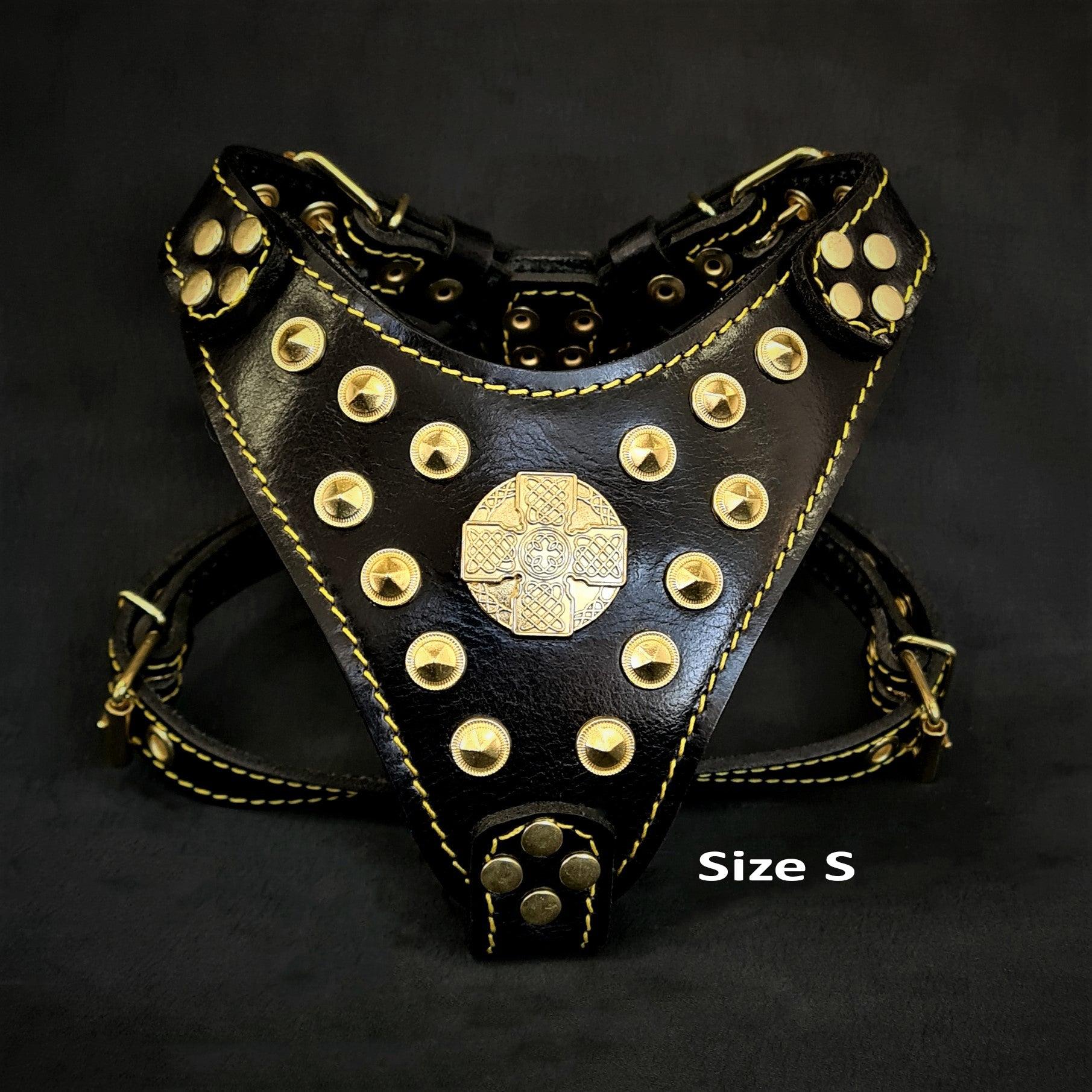 The ''Maximus'' harness Black & Gold  Small to Medium Size - Image 2