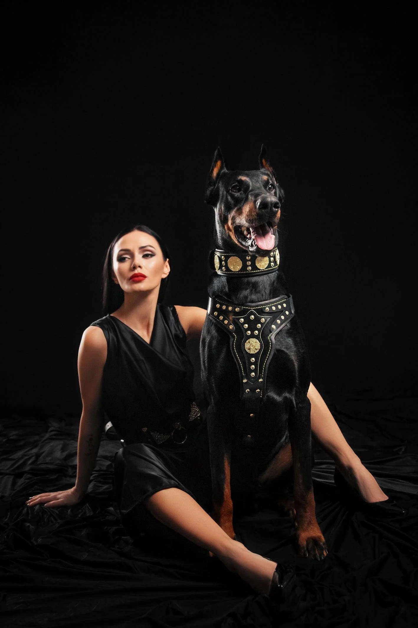 The "Maximus" harness V2 - Image 2