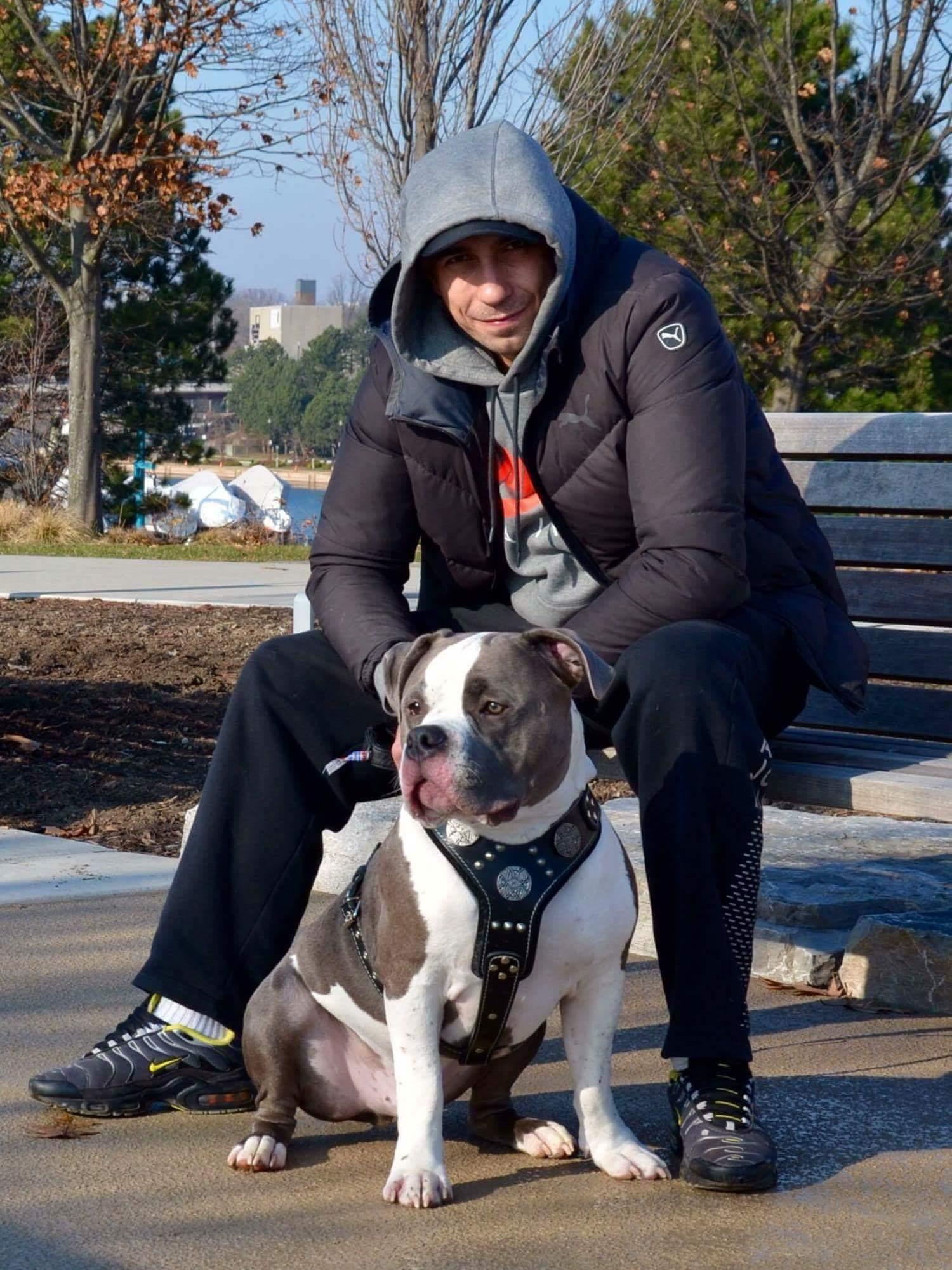 The "Maximus" silver harness - Image 6